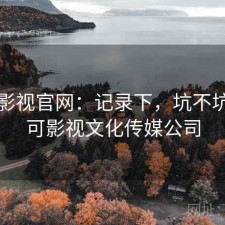 可可影视官网：记录下，坑不坑，可可影视文化传媒公司