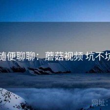 随便聊聊：蘑菇视频 坑不坑