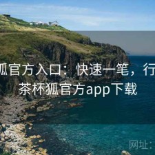 茶杯狐官方入口：快速一笔，行不行，茶杯狐官方app下载