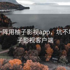 用了一阵用柚子影视app，坑不坑，柚子影视客户端