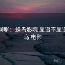 随便聊聊：蜂鸟影院 靠谱不靠谱，蜂鸟 电影