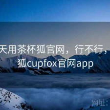 这两天用茶杯狐官网，行不行，茶杯狐cupfox官网app