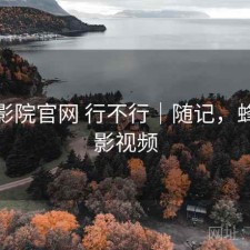 蜂鸟影院官网 行不行｜随记，蜂鸟电影视频