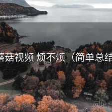 蘑菇视频 烦不烦（简单总结）