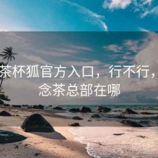 碎念 茶杯狐官方入口，行不行，碎碎念茶总部在哪