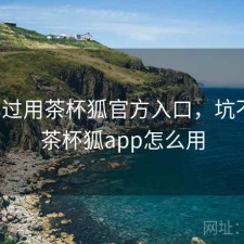 对比过用茶杯狐官方入口，坑不坑，茶杯狐app怎么用