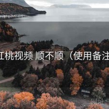 红桃视频 顺不顺（使用备注）