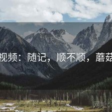 蘑菇视频：随记，顺不顺，蘑菇视讯