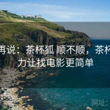 用完再说：茶杯狐 顺不顺，茶杯狐努力让找电影更简单