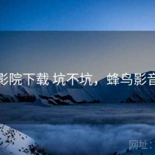 蜂鸟影院下载 坑不坑，蜂鸟影音下载