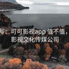 简单写：可可影视app 值不值，可可影视文化传媒公司