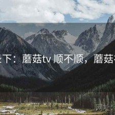 记录下：蘑菇tv 顺不顺，蘑菇视讯