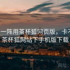 用了一阵用茶杯狐网页版，卡不卡，茶杯狐网站下手机版下载