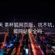 这两天 茶杯狐网页版，坑不坑，茶杯狐网站安全吗