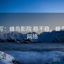 简单写：蜂鸟影院 稳不稳，蜂鸟影院网络