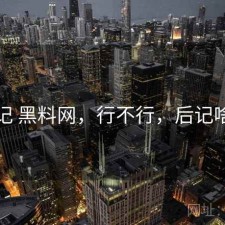 用后记 黑料网，行不行，后记啥意思