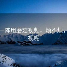 用了一阵用蘑菇视频，烦不烦，蘑菇视呢
