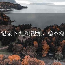 记录下 红桃视频，稳不稳