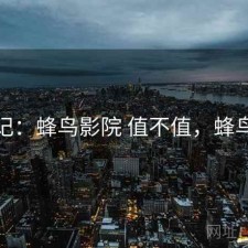 用后记：蜂鸟影院 值不值，蜂鸟映院