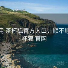 反复用 茶杯狐官方入口，顺不顺，茶杯狐 官网