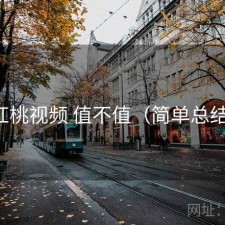红桃视频 值不值（简单总结）