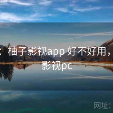 随记：柚子影视app 好不好用，柚子影视pc