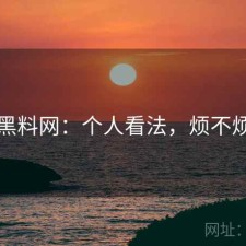 黑料网：个人看法，烦不烦