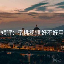 短评：蜜桃视频 好不好用