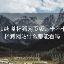 断断续续 茶杯狐网页版，卡不卡，茶杯狐网站什么都能看吗