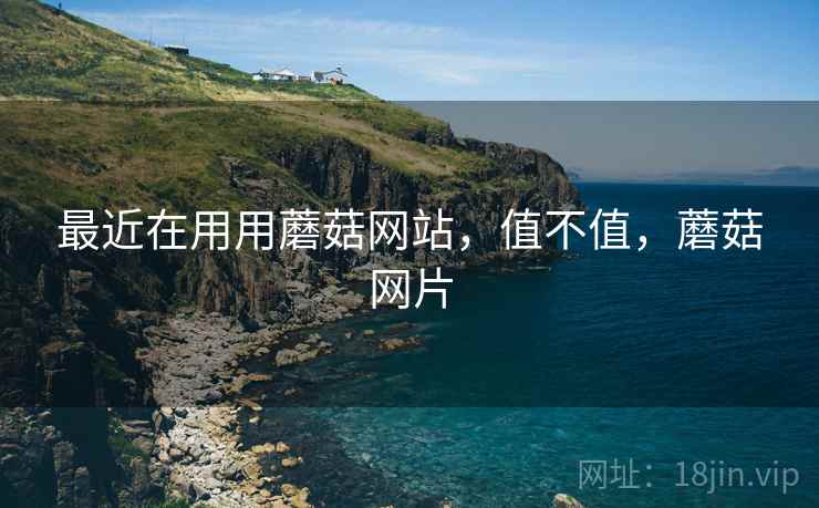 最近在用用蘑菇网站，值不值，蘑菇网片  第1张