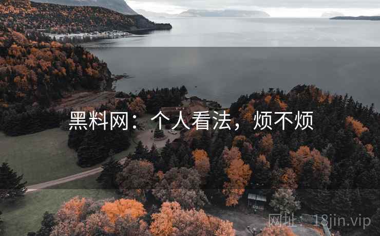 黑料网：个人看法，烦不烦  第2张