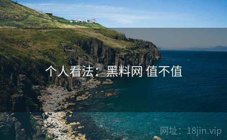 个人看法：黑料网 值不值  第1张