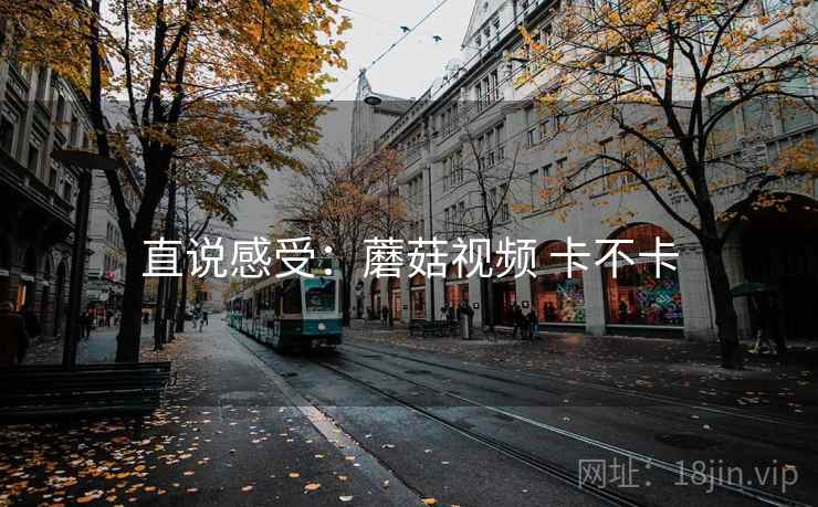 直说感受：蘑菇视频 卡不卡  第1张